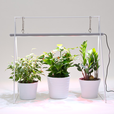 Lampada per piante LED GrowLight Duo con treppiede 20 W