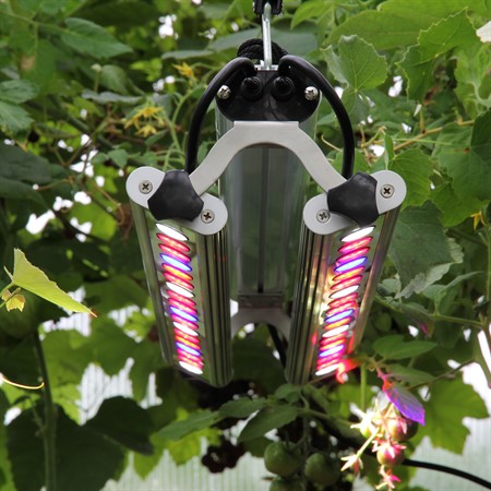 Growlight Quattro Double 60W